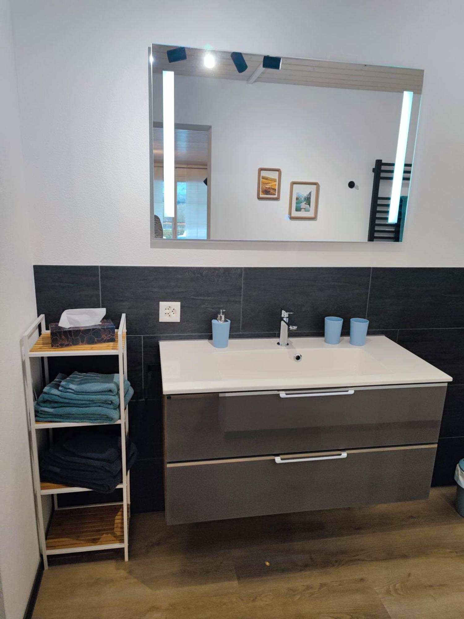 Kleine Auszeit - 2-Zimmer Ferienwohnung Spiez Eksteriør billede